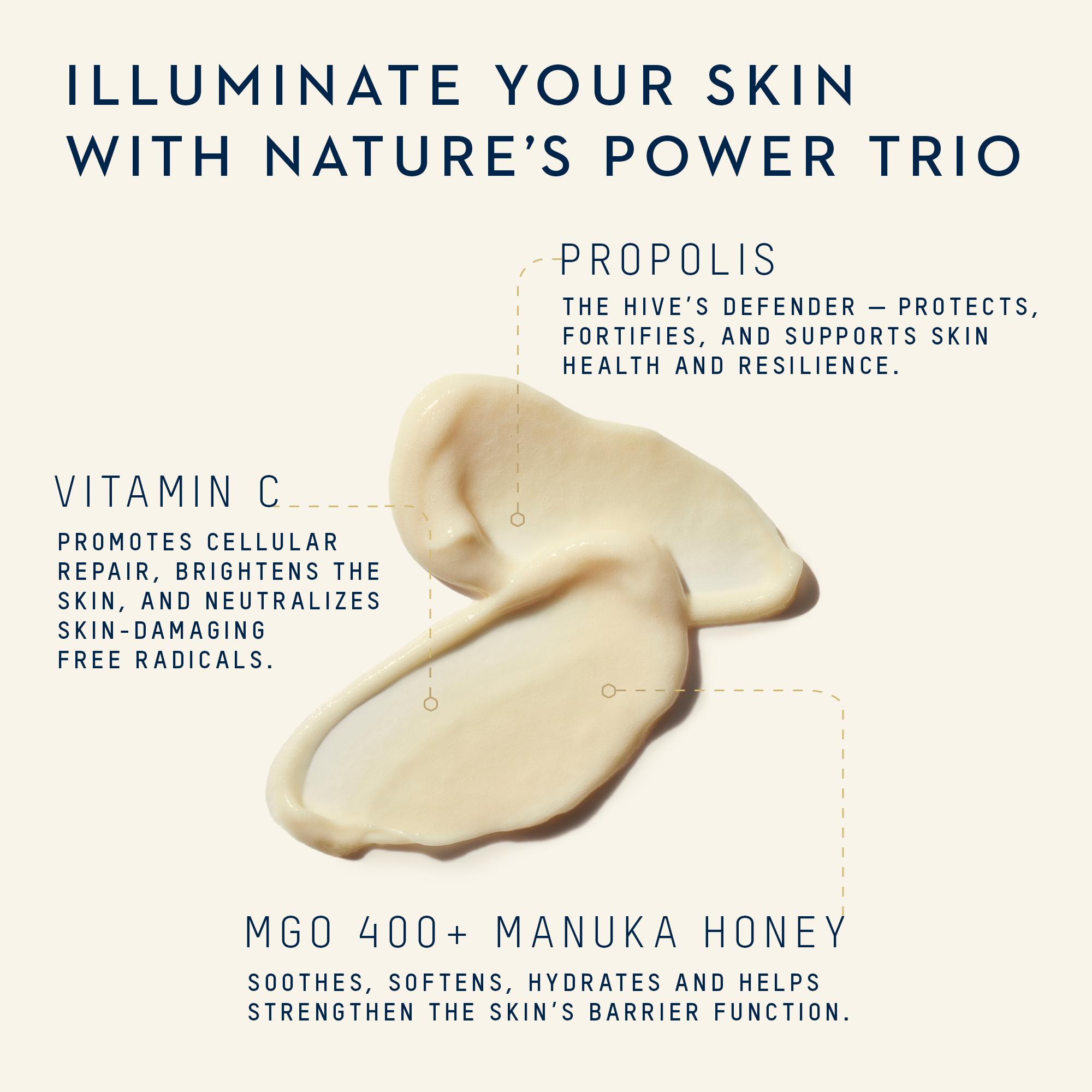 Mānuka Health-Pro Vitality Daily Restorative Face Cream With Propolis & Vitamin C-Skincare-810001471453_PR04532_PROVITALITYDAILYRESTORATIVEFACECREAM_50ml_13-The Detox Market | 