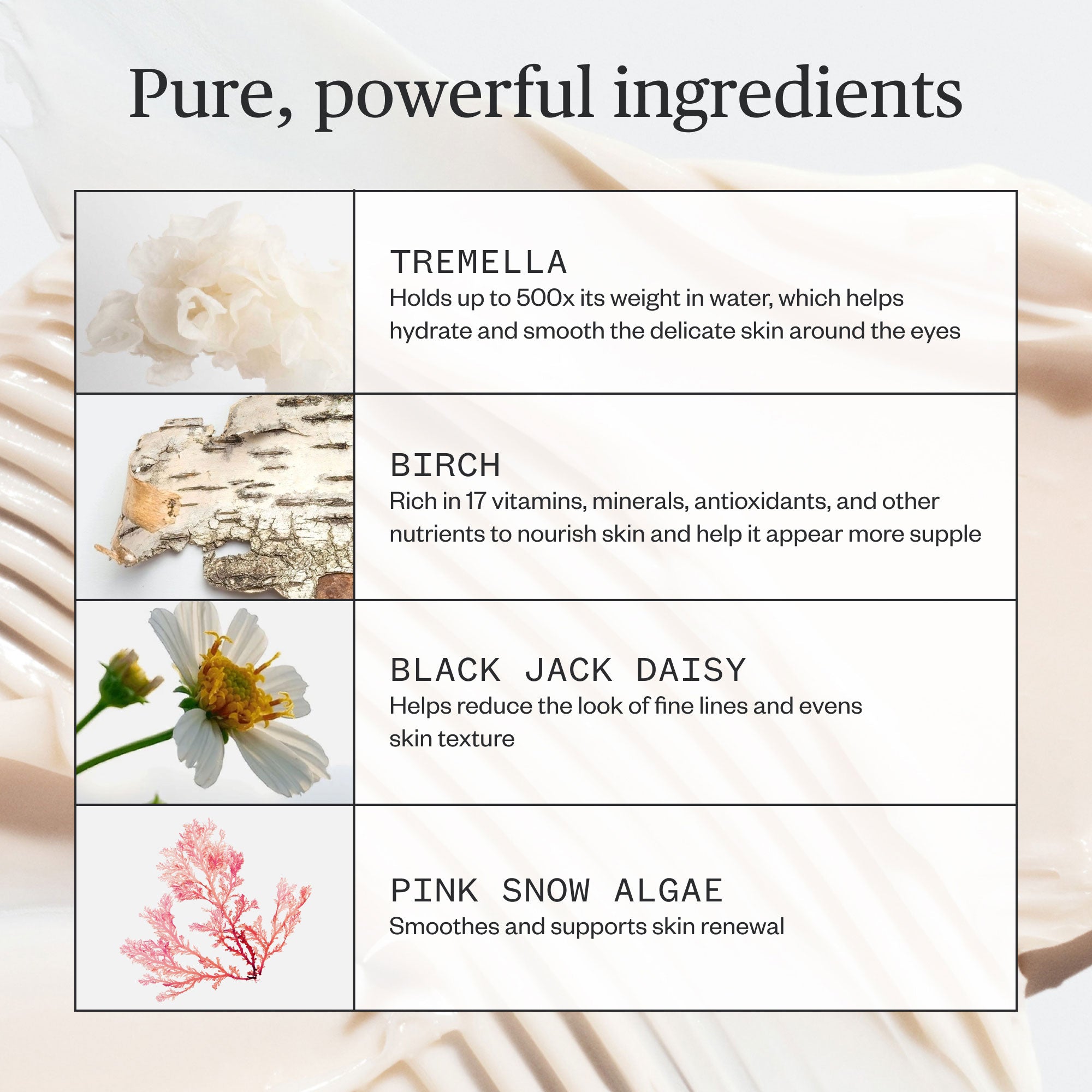 Ursa Major-Forest Alchemy Eye Cream-Skincare-Forest-Alchemy-Eye-Cream-08_6fd5e1d3-900f-40bc-95c4-8a2612646706-The Detox Market | 