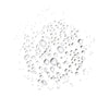 Ursa Major-Forest Fix Spray Deodorant-Body-ForestFixSprayDeo_04_8439f726-8110-4b69-a474-55c8c06de5b8-The Detox Market | 