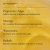 MARA-Algae + Moringa® Universal Face Oil-Skincare-MARA-UFO-35_5-The Detox Market | 