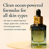 MARA-Algae + Moringa® Universal Face Oil-Skincare-MARA-UFO-35_8_3b1e4147-e229-4021-b016-f7a9f050f76b-The Detox Market | 