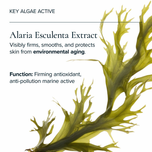 MARA-Algae + Moringa® Universal Face Oil-Skincare-MARA-UFO-35_9-The Detox Market | 