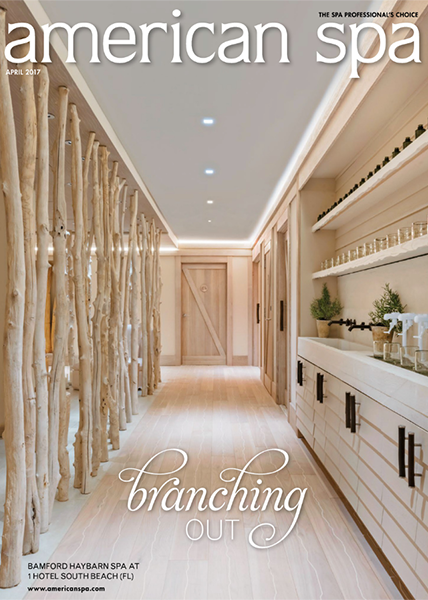 American Spa-The Detox Market