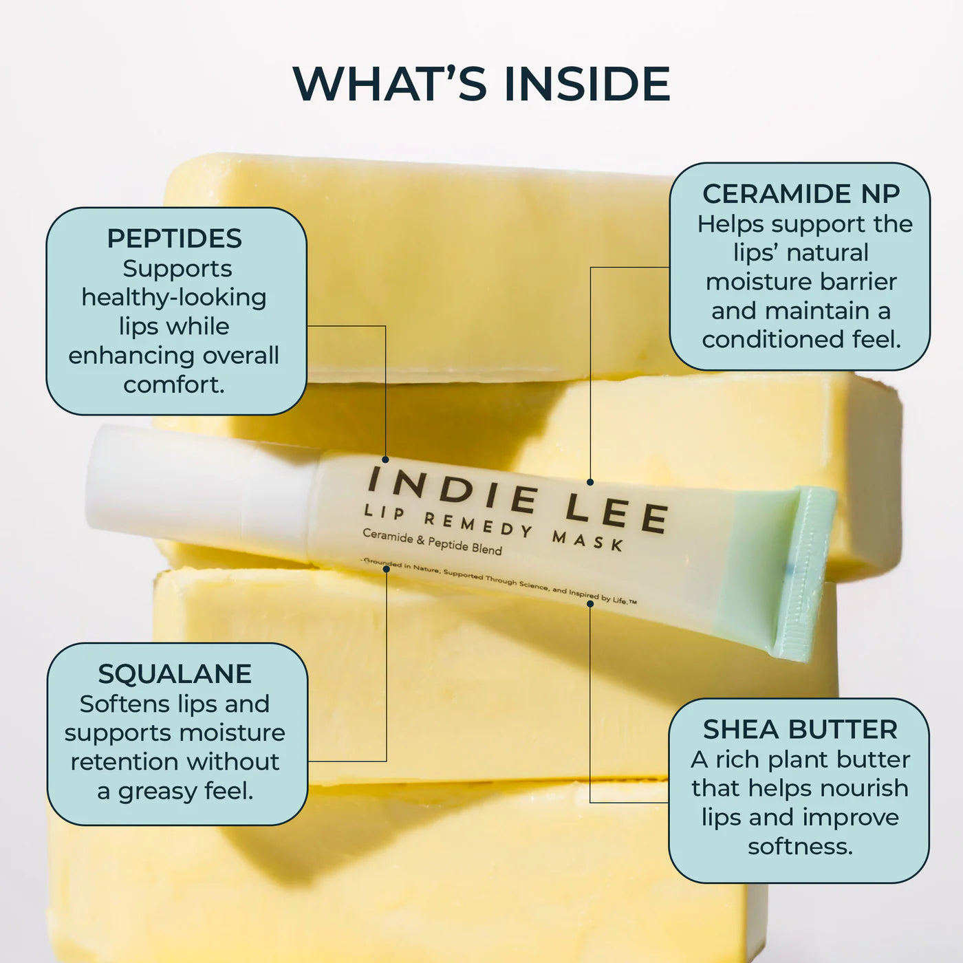 Lip Remedy Mask – The Detox Market