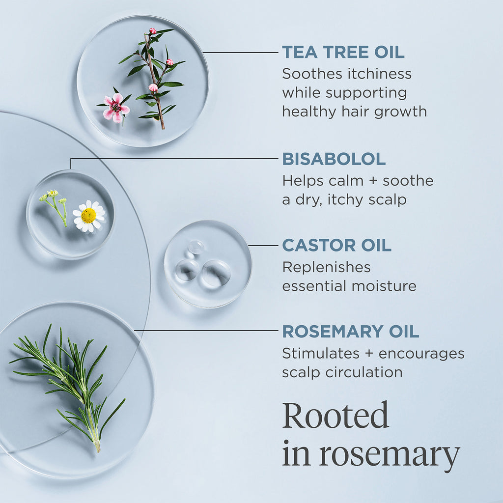 Briogeo-Scalp Revival Rosemary Pre-Wash Oil For Hair And Scalp-Hair-06_SROil_Ingredients_2000x2000_4a52bf60-8b46-48f5-975b-8780a9f2cd49-The Detox Market | 