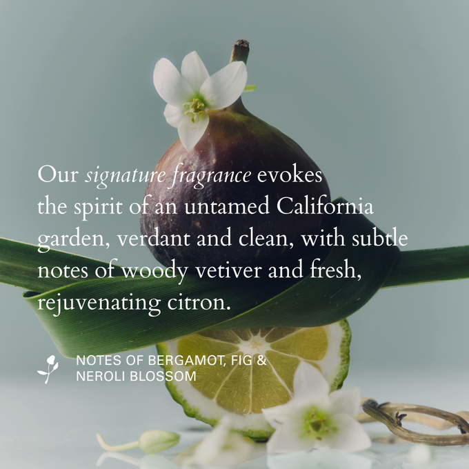 RŌZ-Holiday Mini Essentials-Hair-07_HolidayMiniEssentials-The Detox Market | 