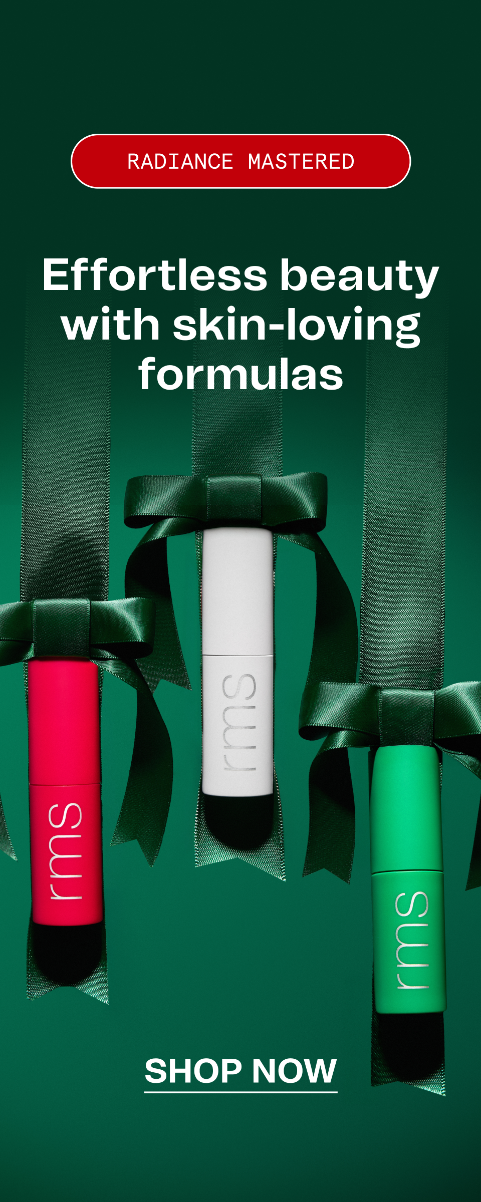 110325_Holiday_RMS_Category_Banner_Mobile-The Detox Market