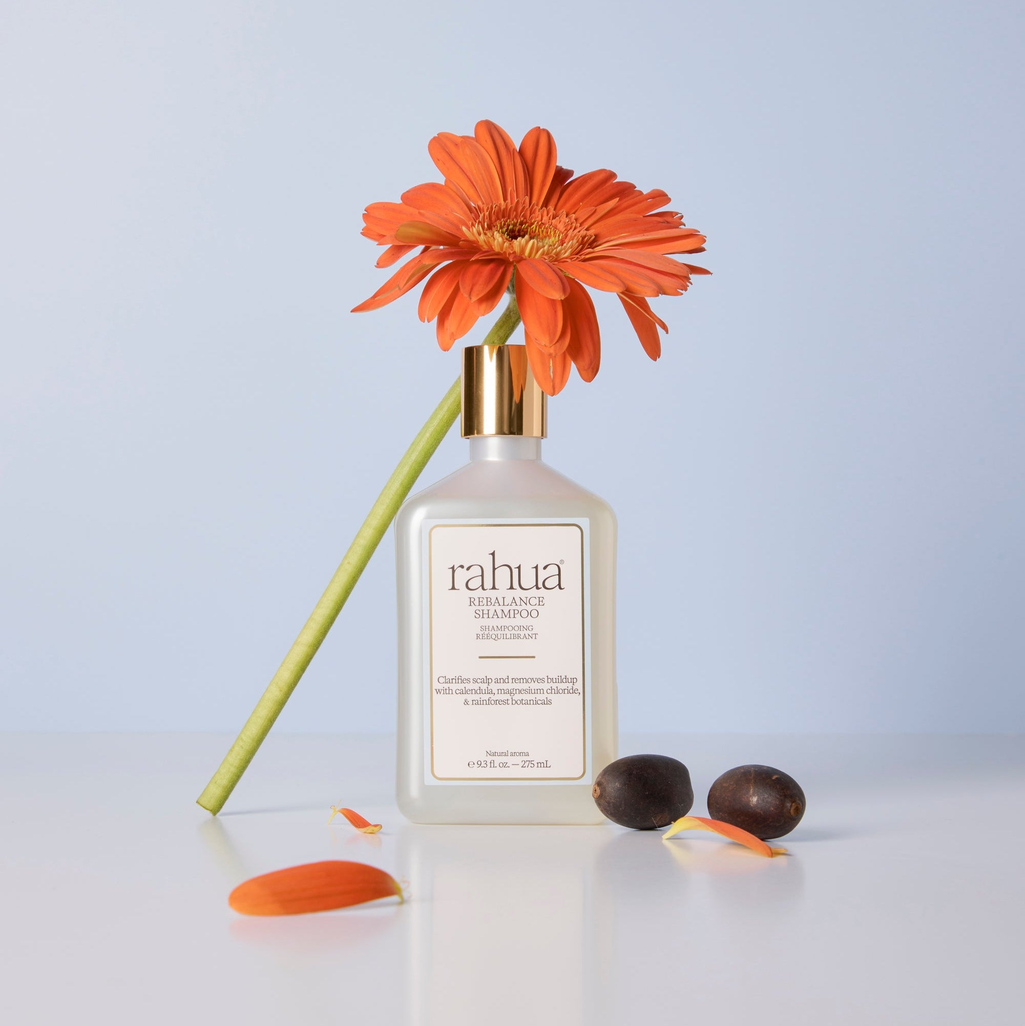 Rahua-Rebalance Shampoo-Hair-457-The Detox Market | 