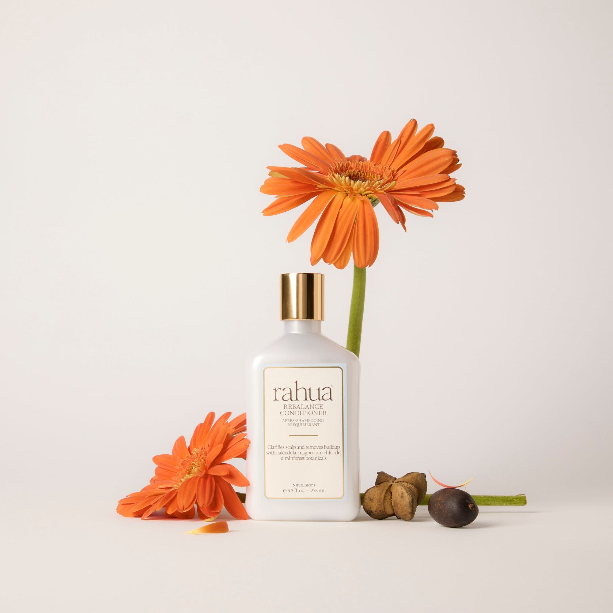Rahua-Rebalance Conditioner-Hair-470-The Detox Market | 