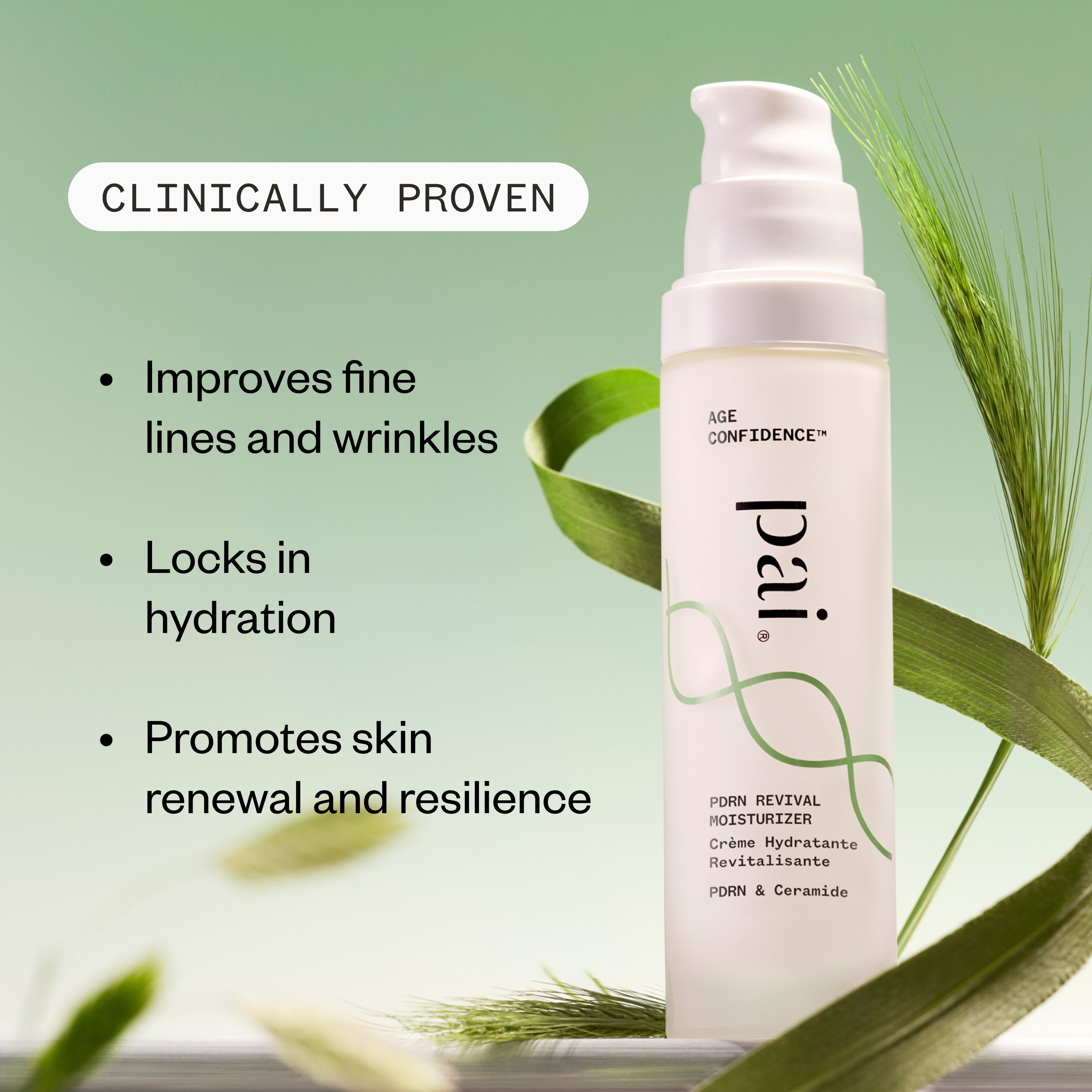 Pai Skincare-Pdrn Revival Moisturizer-Skincare-5061073640017_3-The Detox Market | 
