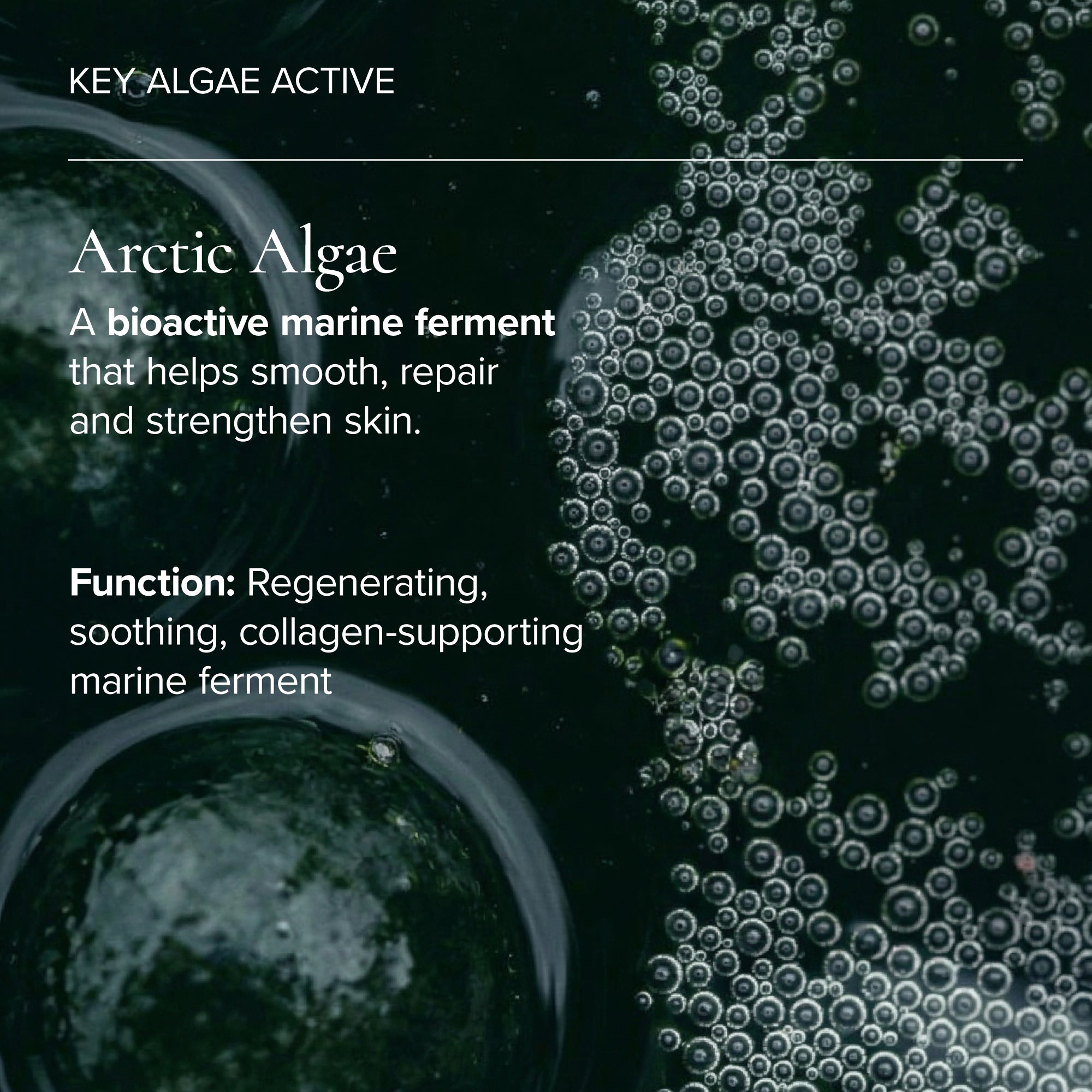 MARA-Aura Cleanse Foaming Gel Cleanser For Dry Skin-Skincare-Algae_AFGC-The Detox Market | 