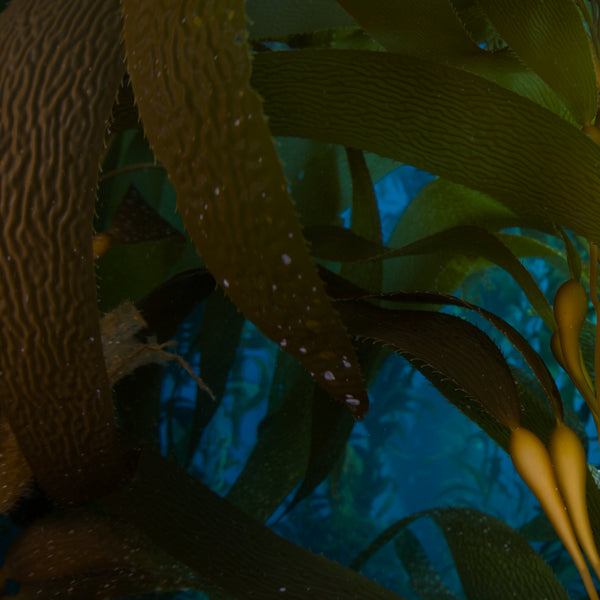 Algae_Extract_Mobile-The Detox Market