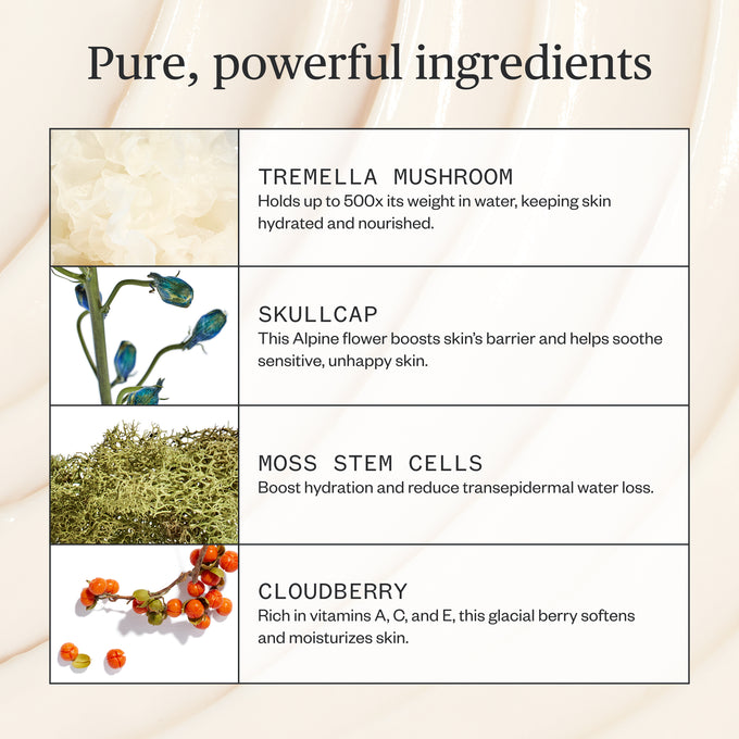 Ursa Major-Alpine Rich Cream-Skincare-Alpine-Rich-Cream-06-The Detox Market | 