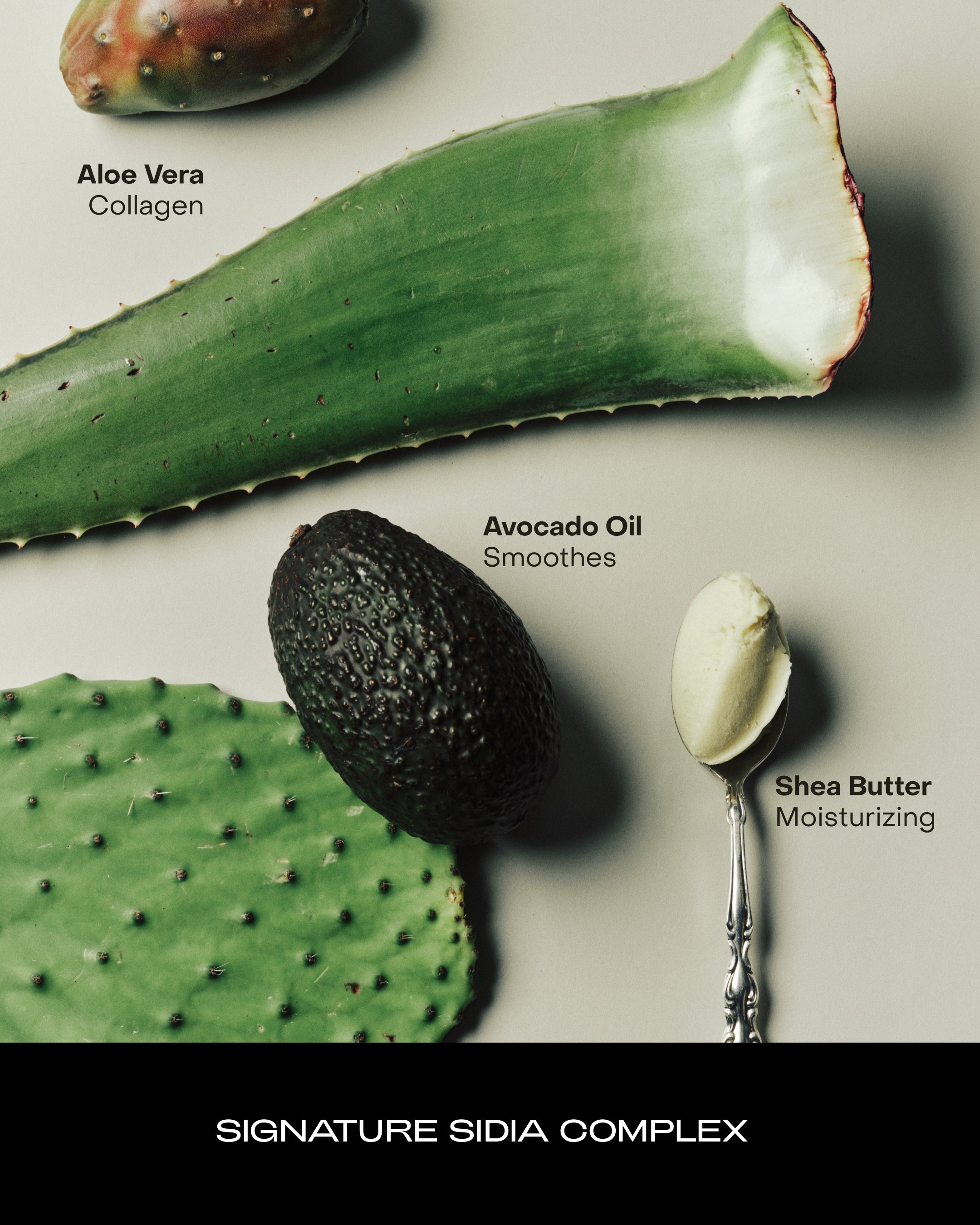 SIDIA-Braless: The Body Serum-Body-BBSE00P00-BS02-av-12-The Detox Market | 