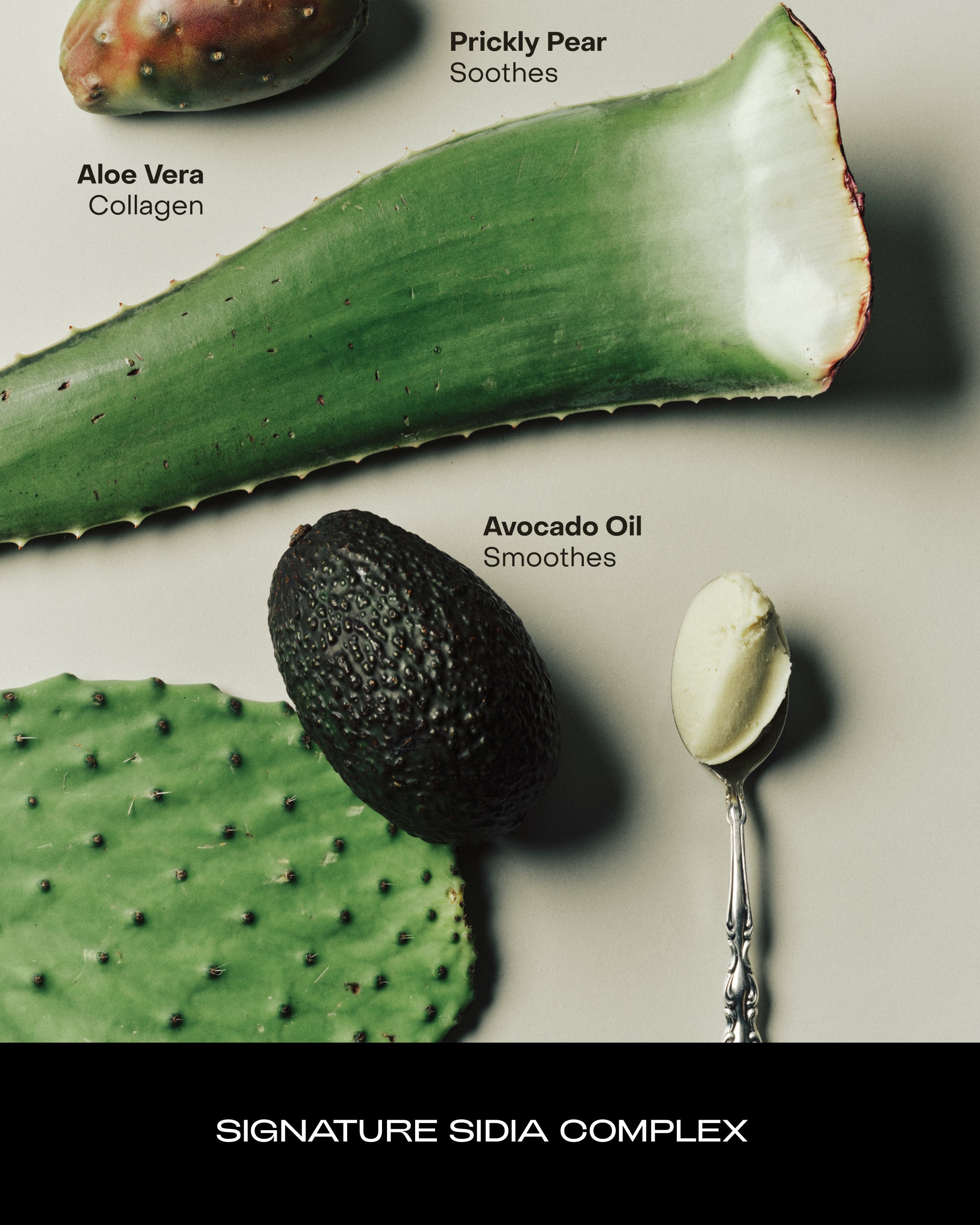 SIDIA-The Hand Serum - Soaked-Body-BHSE00P00-HS07-av-7_3dc4ca11-ab59-48a5-bdf8-095bc22b98ef-The Detox Market | 