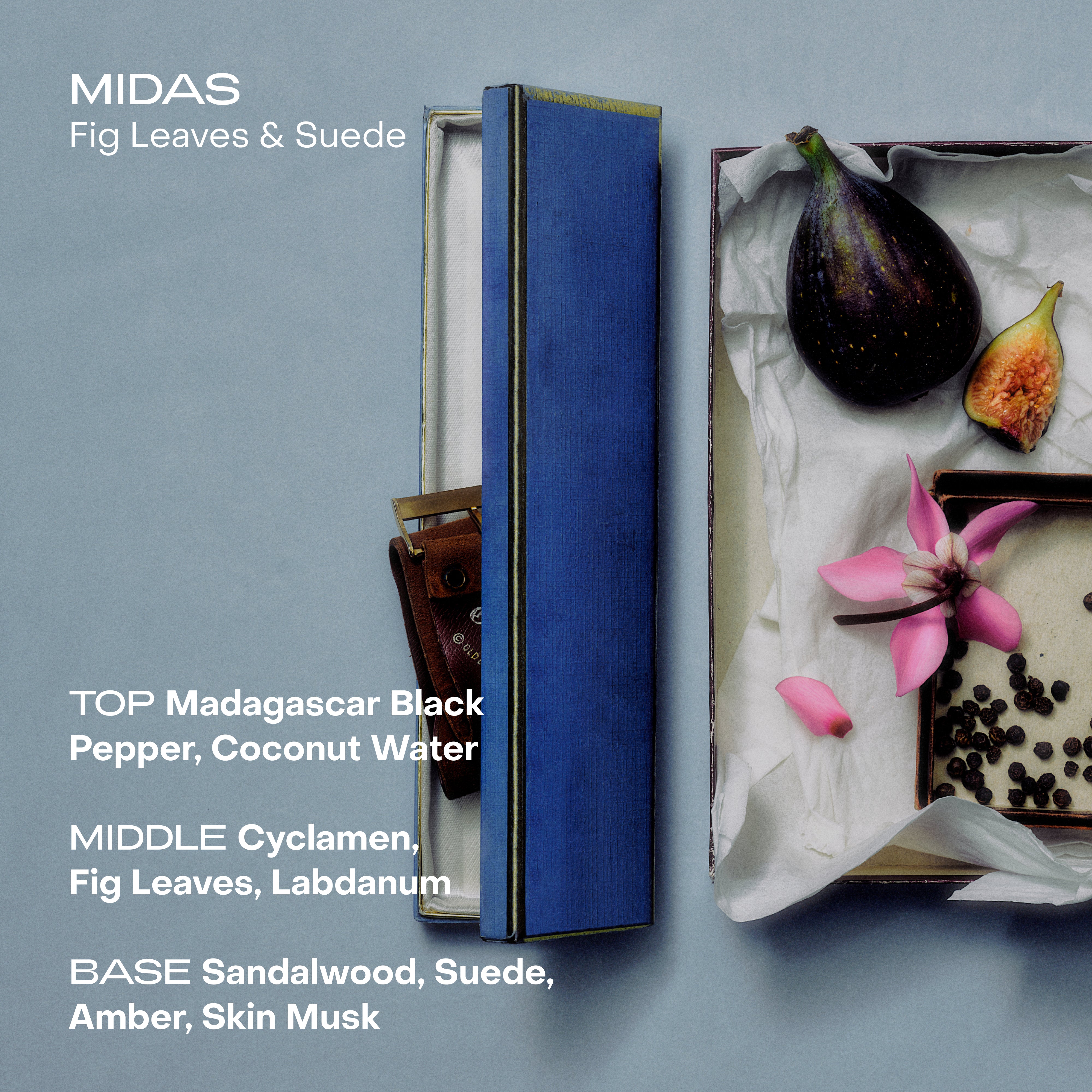 Midas: The Wash