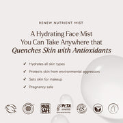True Botanicals-RENEW Nutrient Mist-Skincare-Benefits_NutrientMist_2048x2048_457e141b-a6fe-42f8-8c07-c8972a2f104b-The Detox Market | 