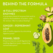 HUM Nutrition-Flatter Me-Wellness-Carousel_FlatterMe_2048x2048_INGREDIENTS-The Detox Market | 