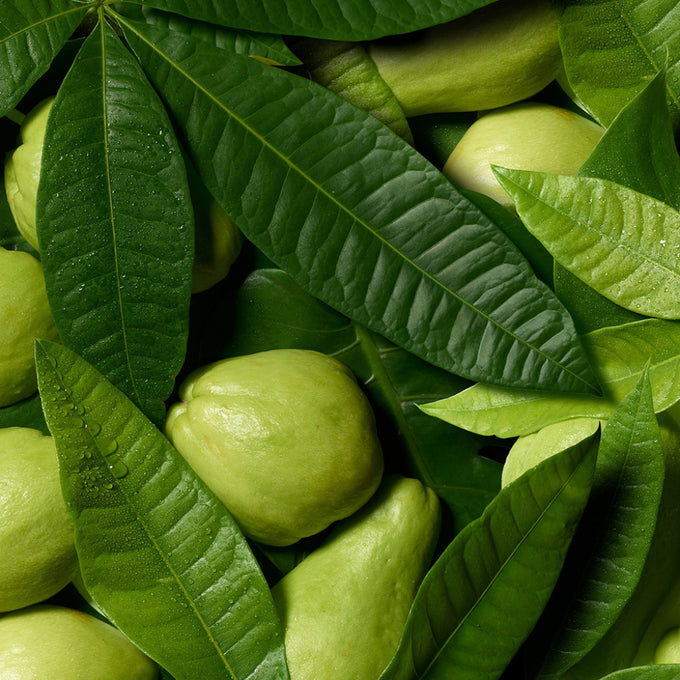 Chebula-The Detox Market