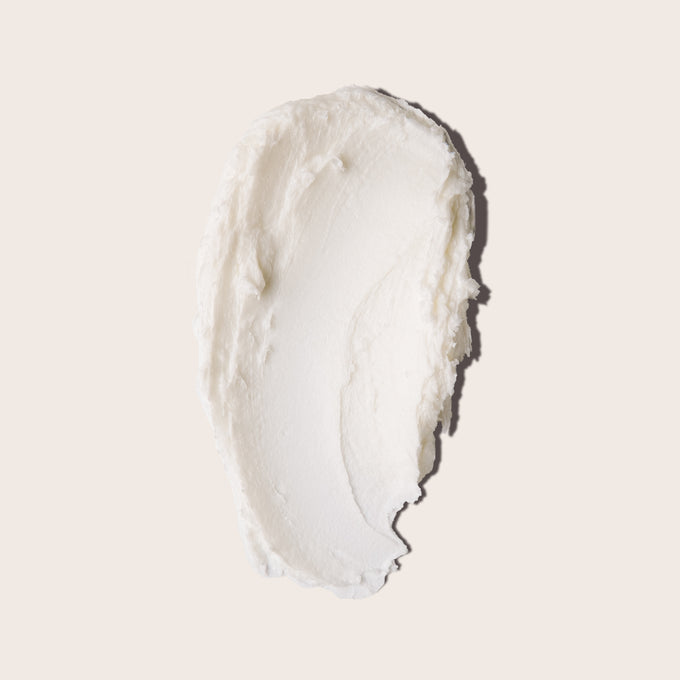 Everist-The Fragrance-Free Shampoo Concentrate-Hair-EVR_002_01202025_Everist_PDP_Images_FFShampoo_Tin_2-The Detox Market | 