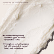 Everist-The Fragrance-Free Shampoo Concentrate-Hair-EVR_002_01202025_Everist_PDP_Images_FFShampoo_Tin_6-The Detox Market | 