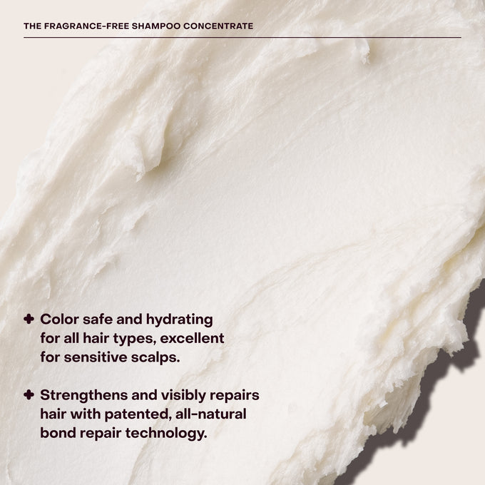 Everist-The Fragrance-Free Shampoo Concentrate-Hair-EVR_002_01202025_Everist_PDP_Images_FFShampoo_Tin_6-The Detox Market | 