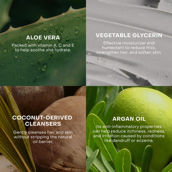 Everist-The Fragrance-Free Shampoo Concentrate-Hair-EVR_002_01202025_Everist_PDP_Images_FFShampoo_Tin_7-The Detox Market | 