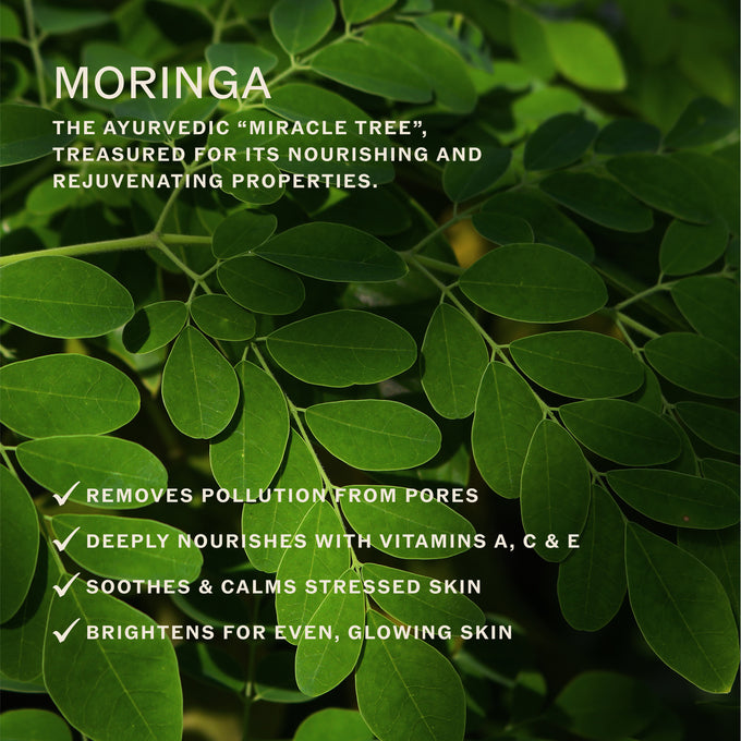 Sahajan-Essential Balance Toner with Vitamin C + AHA's-Skincare-Essential-Balance-Toner-08-The Detox Market | 