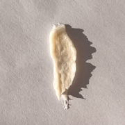 Luna Nectar-Exploration 01 Ampoule Repair Shampoo-Hair-Exploration01AmpouleRepairShampoo_4-The Detox Market | 