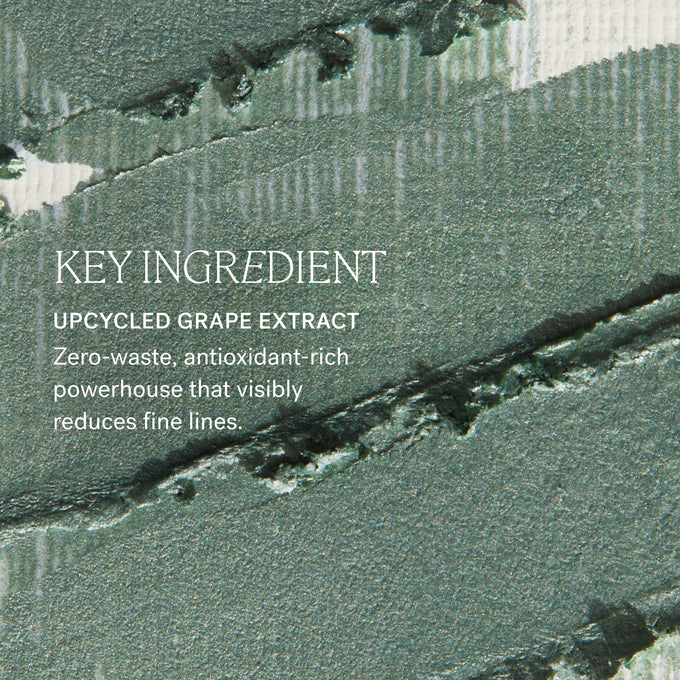 ILIA-Eye Stylus Shadow Stick-Makeup-Eye_Stylus_INGREDIENTS_2000x2000_ee1b7bb0-20cd-434c-b87e-0dd1dad4f356-The Detox Market  | Always