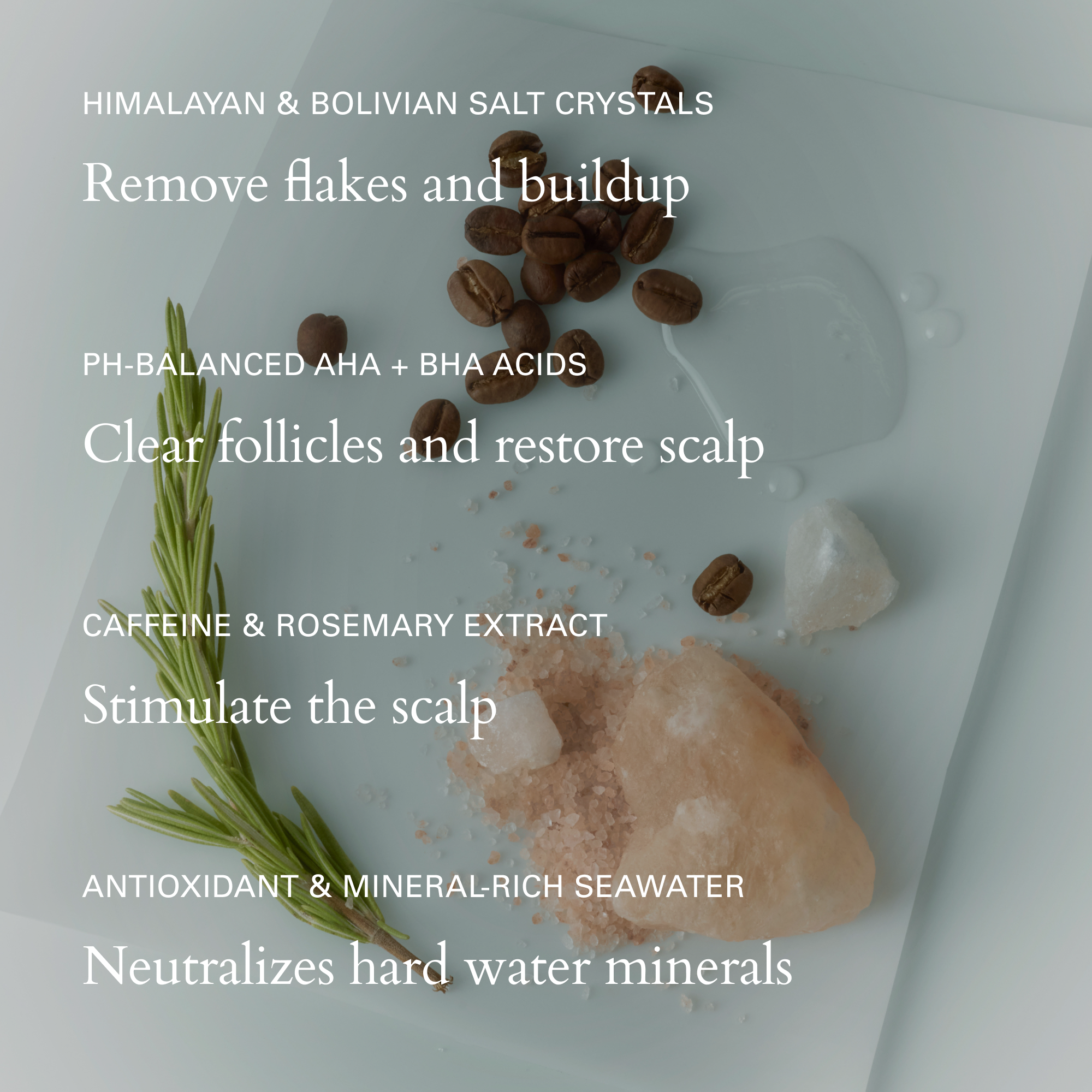 RŌZ-Salt Scalp Scrub Exfoliating Detox Shampoo-Hair-FGRZSCSCB0000_08_e2c56aa9-cc2d-41f8-b5f6-b77f4974dbd5-The Detox Market | 