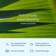 Cocolab-Cocolab Cocofloss Refillable Dental Floss 33 Yd - Young Coconut-Body-FLS-001-COC-033_3-The Detox Market | 