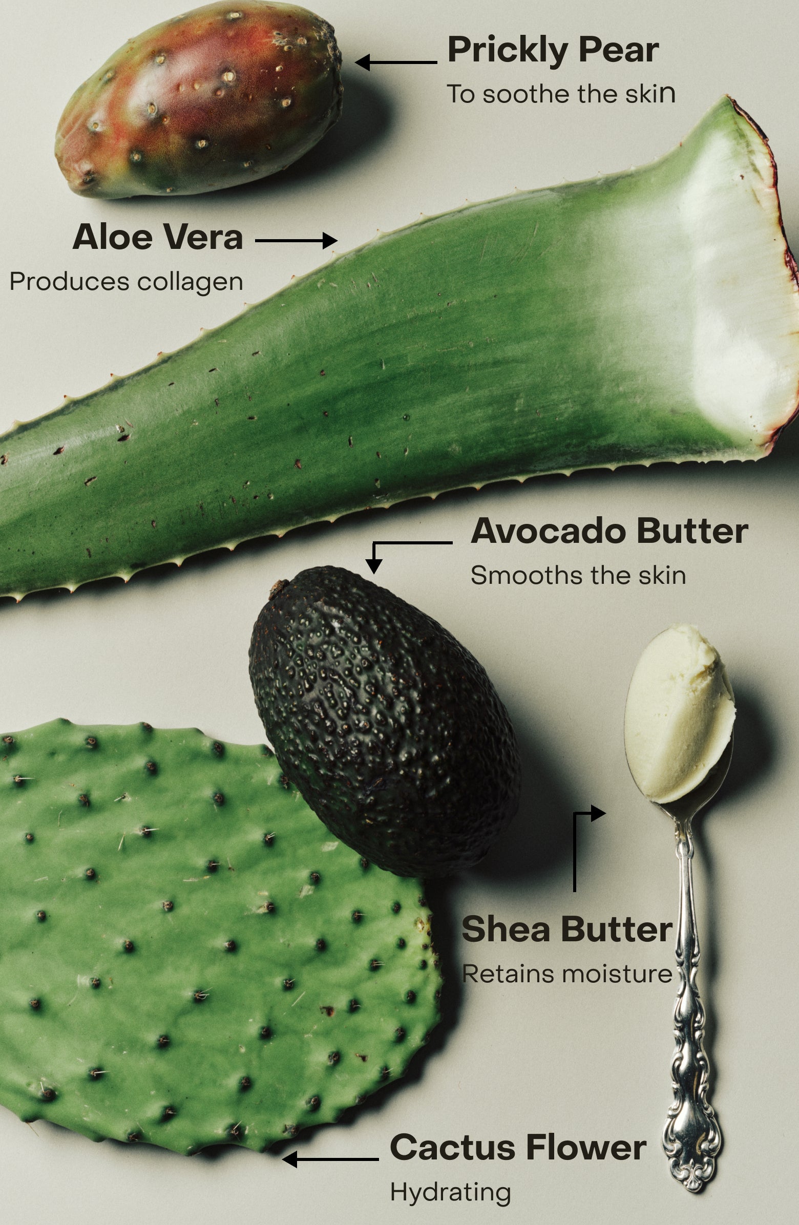 SIDIA-Braless: The Wash-Body-Frame627704_2a8b4ce8-3084-4ba8-8fa3-c47b1f441a8f-The Detox Market | 