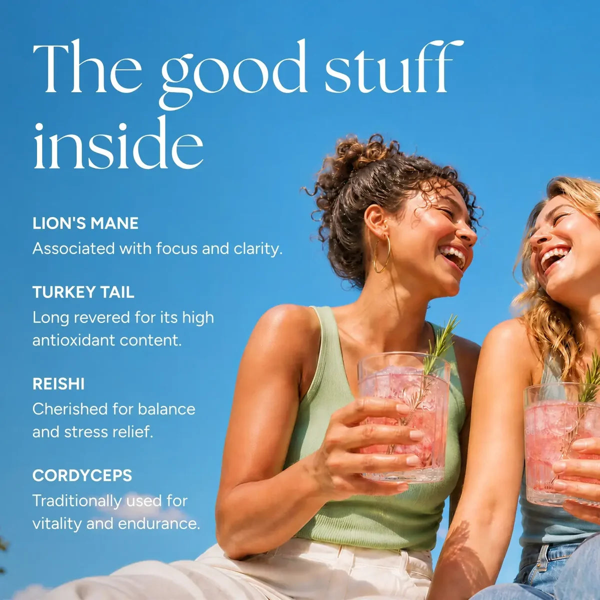 Ananda Elixirs-Shroom Soda-Wellness-Frame_14_2-The Detox Market | Always