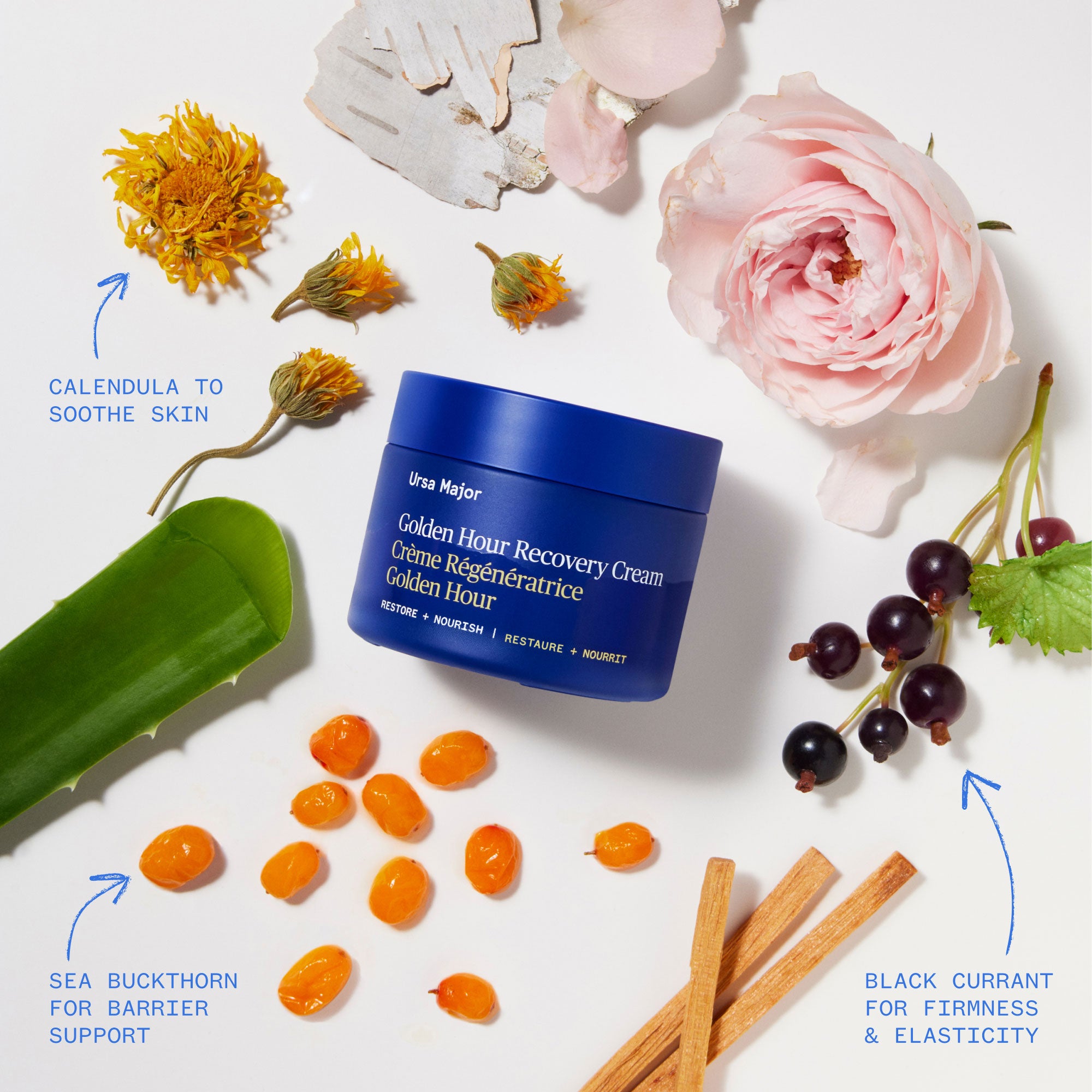 Ursa Major-Golden Hour Recovery Cream-Skincare-Golden-Hour-Recovery-Cream-07_04fcb249-34ad-494c-8847-360a6e01f483-The Detox Market | 