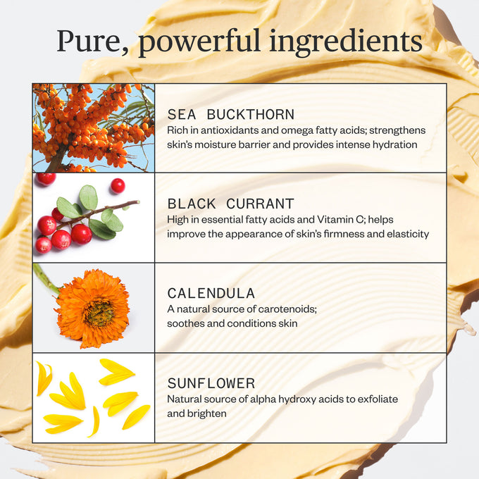 Ursa Major-Golden Hour Recovery Cream-Skincare-Golden-Hour-Recovery-Cream-08-The Detox Market | 