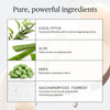 Ursa Major-Hoppin' Fresh Deodorant-Body-Hoppin-Fresh-Deodorant-07-The Detox Market | 