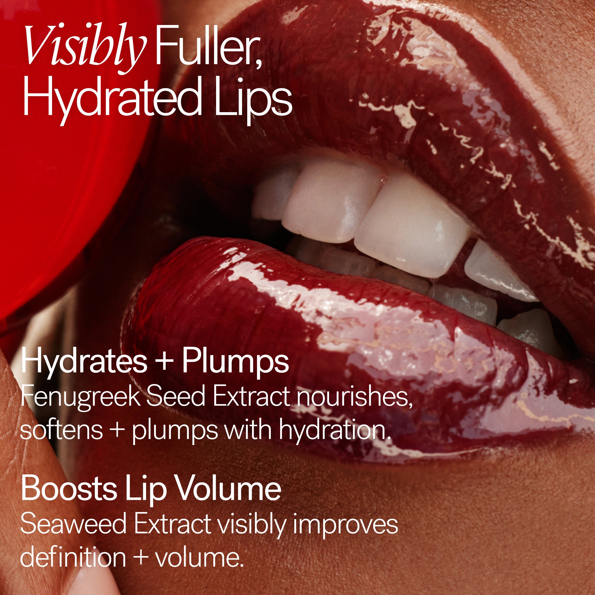 ILIA-Overglaze Hydrating Lip Gloss-Makeup-ILIAOverglazeHydratingLipGloss_2026_Ingredients_2000x2000_f532f86e-d16c-4376-b68a-299319e8d501-The Detox Market | Always