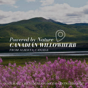 Fitglow Beauty-Birch Hyaluronic Electrolyte Quench + Calm Serum-Skincare-IMAGE_03_BirchHyaluronicSerum_850042717295-The Detox Market | 