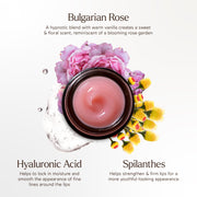 True Botanicals-Moisture Lock Glossy Balm-Skincare-Ingredients_GlossyBalm_2048x2048_9b7dbddc-8aeb-4c6b-bd4b-3318ef9e35c2-The Detox Market | 