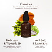 True Botanicals-RENEW Repair Nightly Treatment-Skincare-Ingredients_RenewTreatment_2048x2048_cf46e871-7457-48f7-88e5-ba5af206de9d-The Detox Market | 
