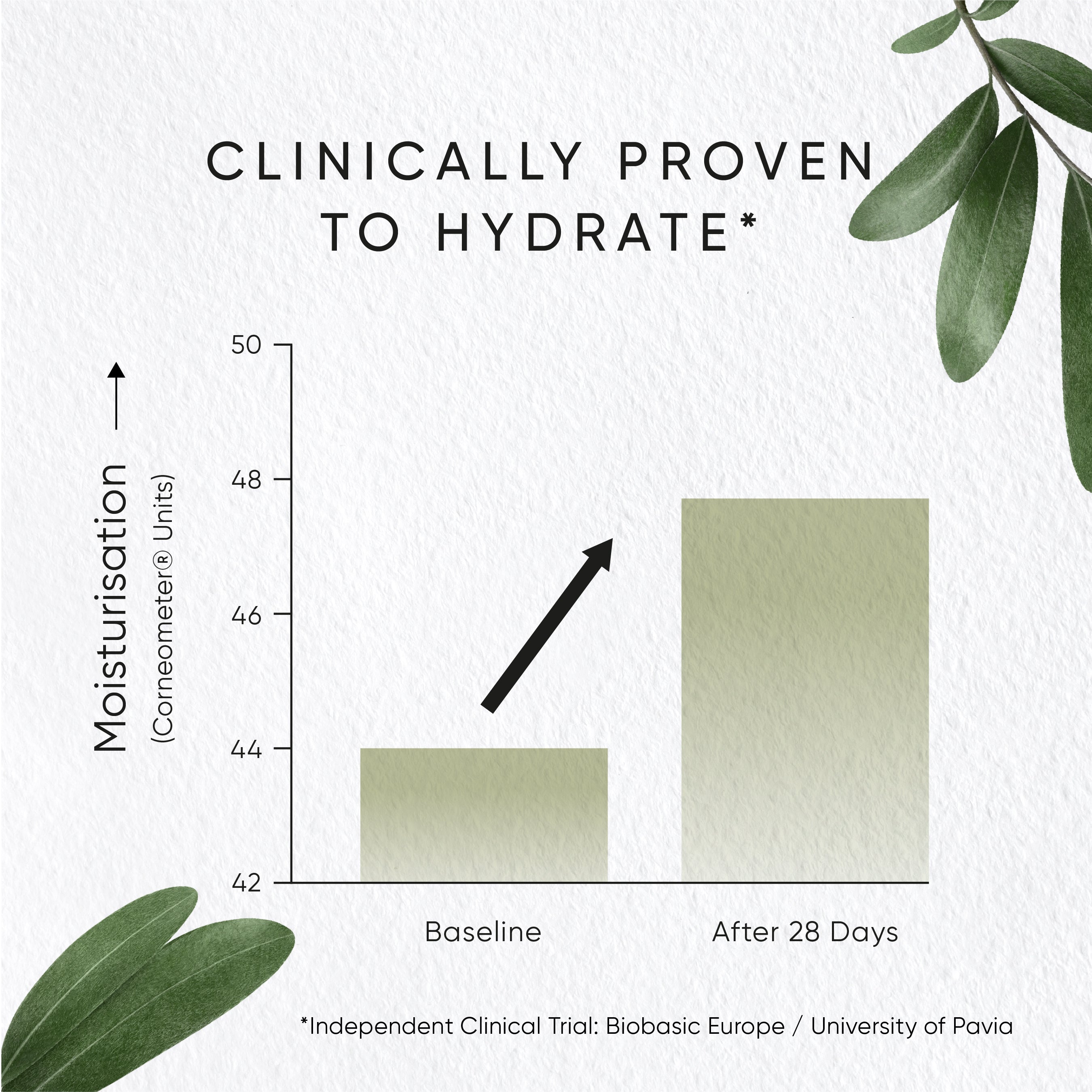 Olive Hydrating Eye Cream