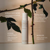Rose Body Oil With Ximenyic Acid