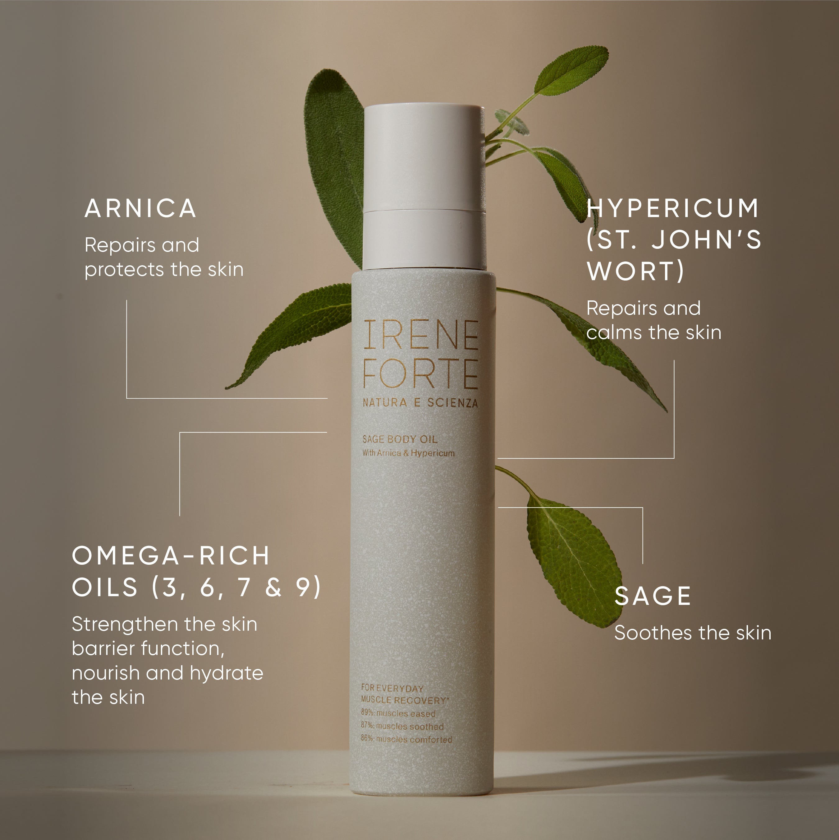 Sage Body Oil With Arnica & Hypericum