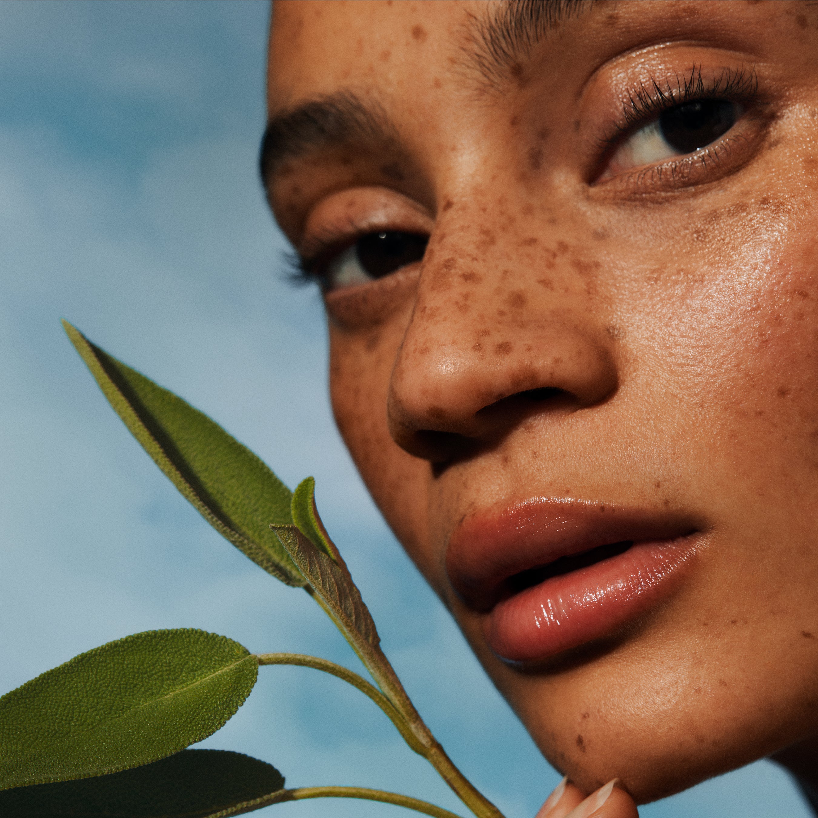 Sage Body Oil With Arnica & Hypericum
