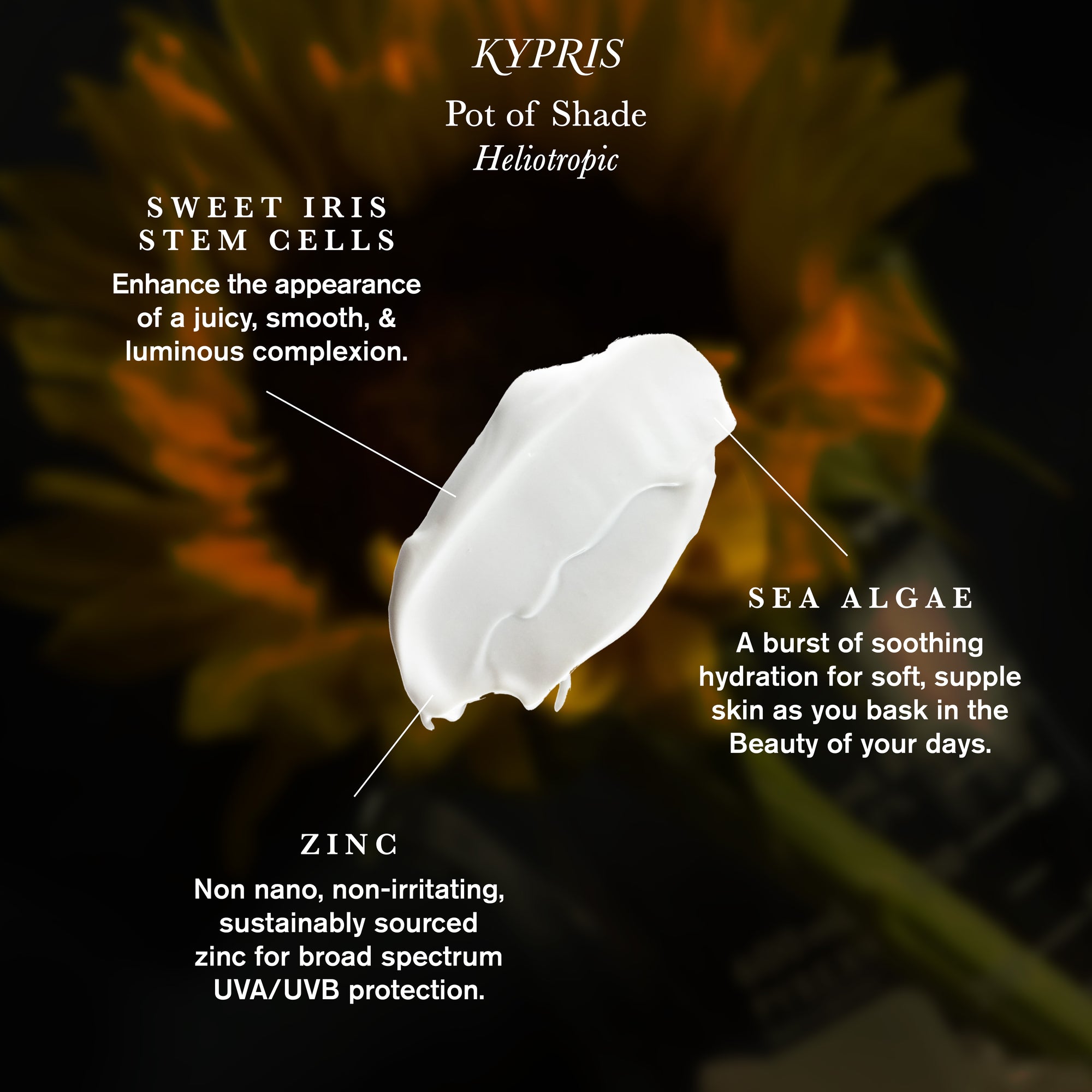 KYPRIS Beauty-Pot of Shade: Heliotropic-Sun Care-KYPRIS_ImageWithIngredients_PotOfShadeHeliotropic_GS5_5-The Detox Market | 