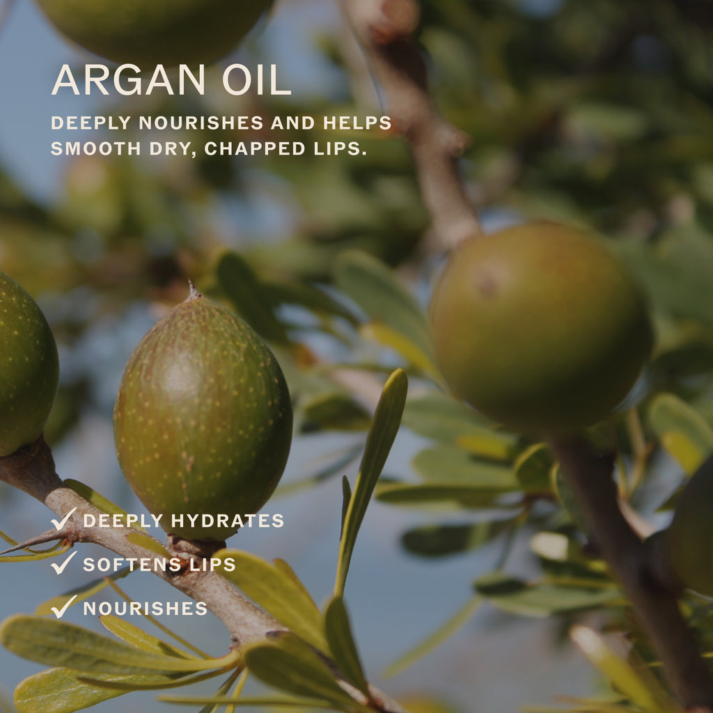 Sahajan-Lip Karma in Chai-Skincare-LIPKARMA6_5188889d-e474-453a-91e4-d1df4d6fe074-The Detox Market | 