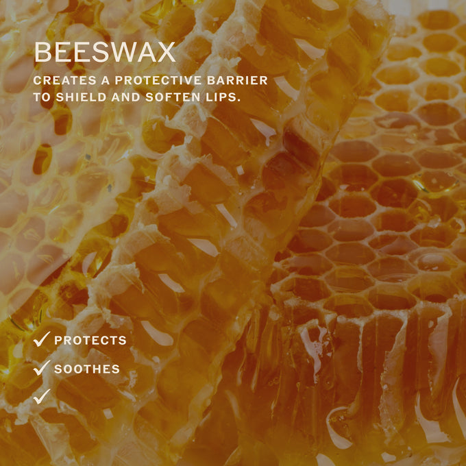 Sahajan-Lip Karma in Chai-Skincare-LIPKARMA8_31dc3219-214e-478c-8d9c-15be16d86690-The Detox Market | 