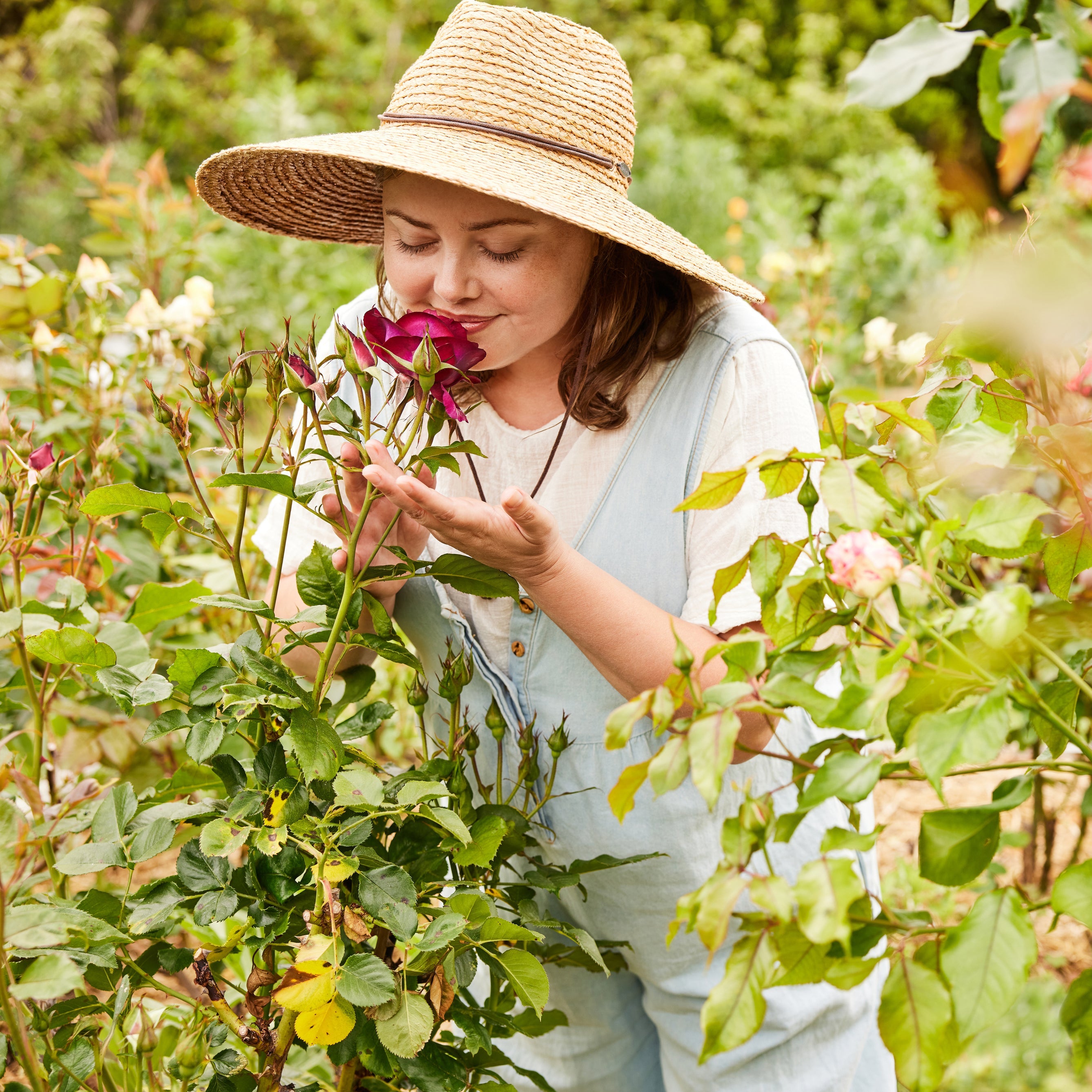Laurel Skin-Petal Alchemy: Strengthen + Flourish-Skincare-LaurelwithRose_577c09f8-fbc4-4e44-bb46-e050318b8615-The Detox Market | 