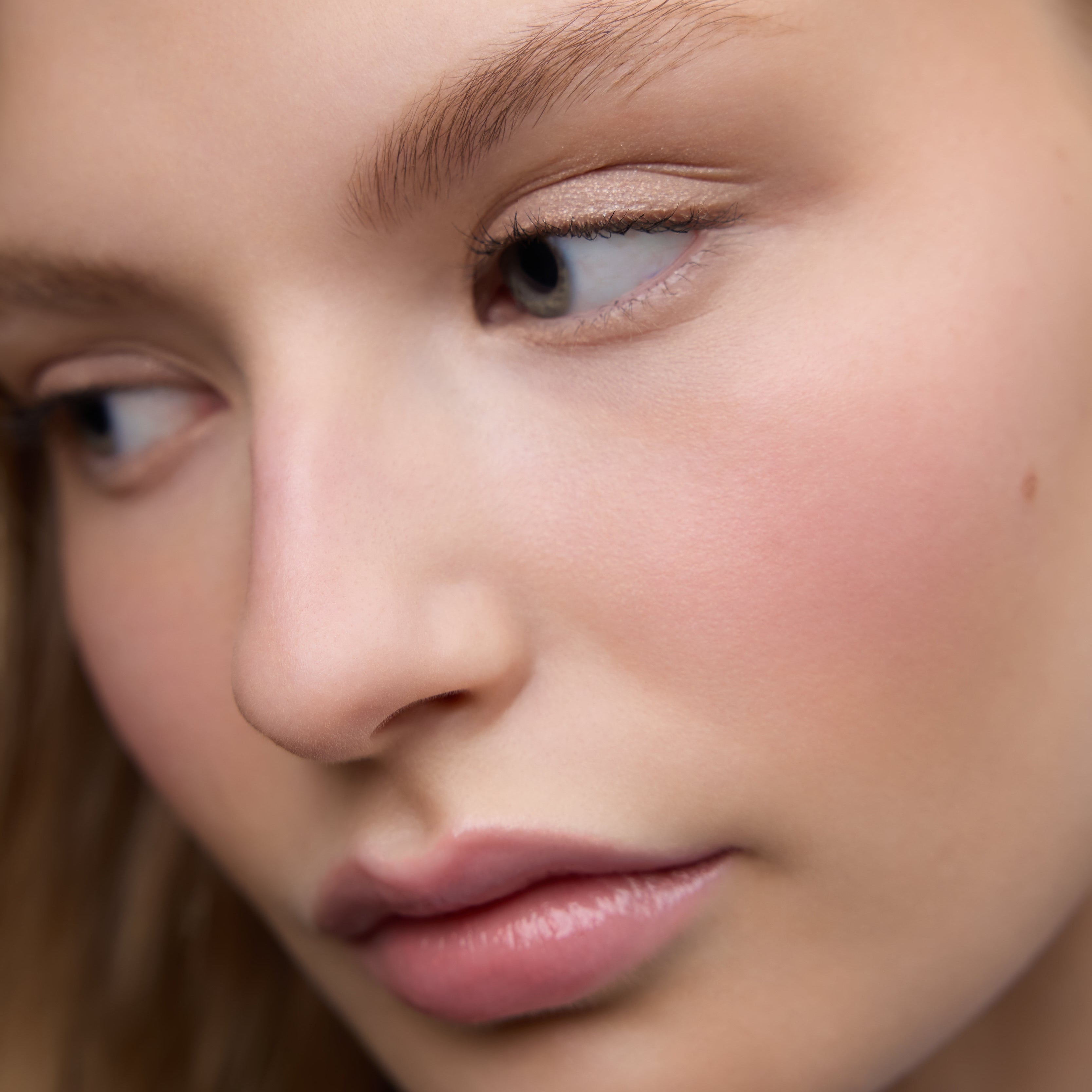Le Regard Eye & Brow Trio
